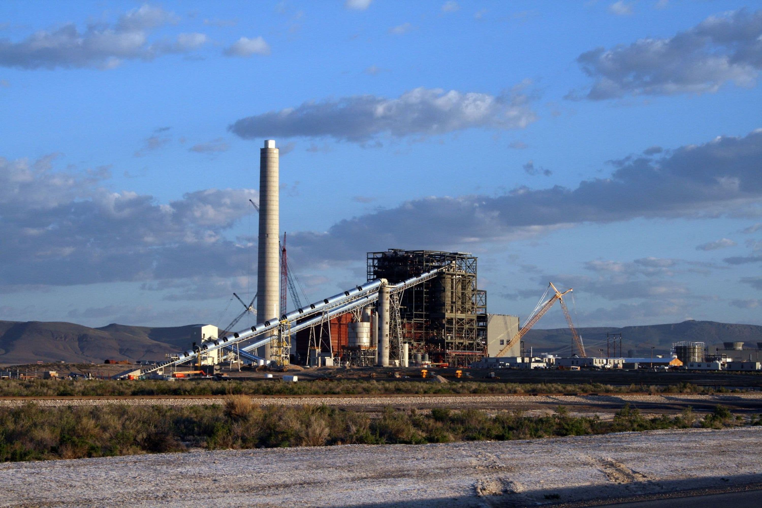 Distant view of plant